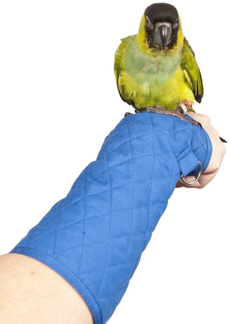 Big Bird Products  Parrot Arm Perch Med