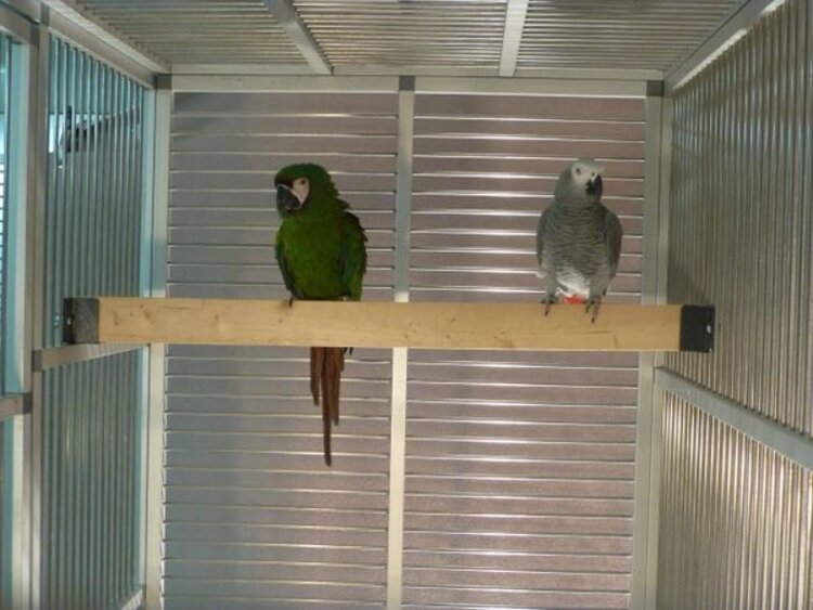 Natural Inspirations Natural Inspirations Birdy Bracket  2 x 4 Holder