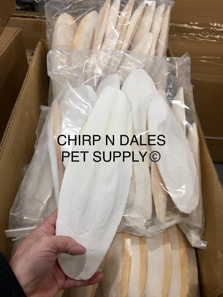 Riga Cuttlebone Jumbo