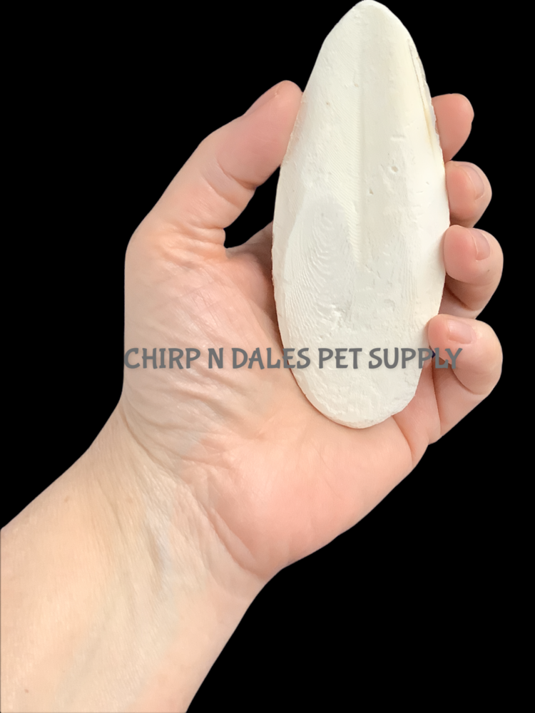 CND Cuttlebone Small