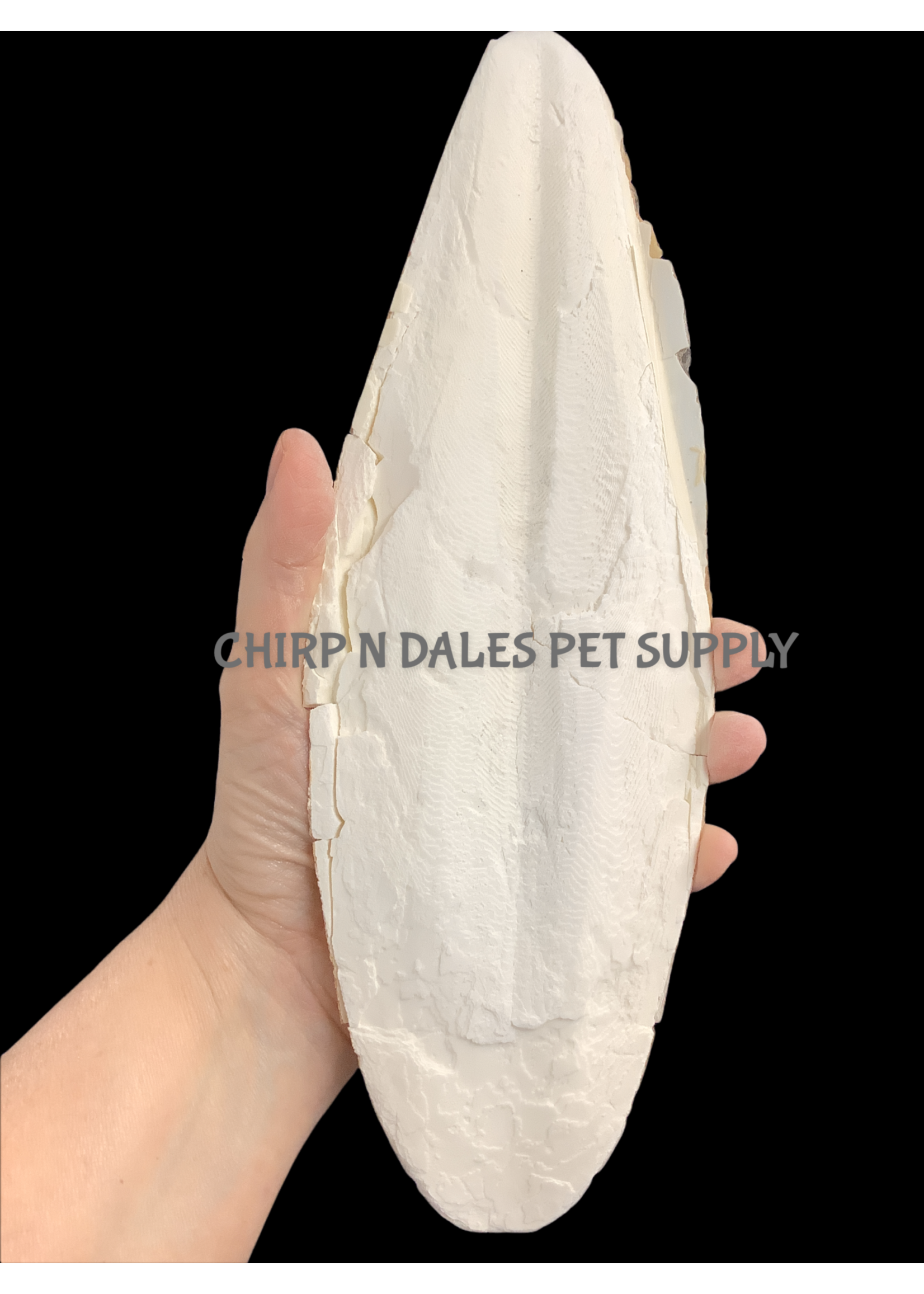 Riga Cuttlebone Jumbo