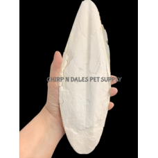 Riga Cuttlebone Jumbo