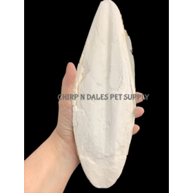 Riga Cuttlebone Jumbo