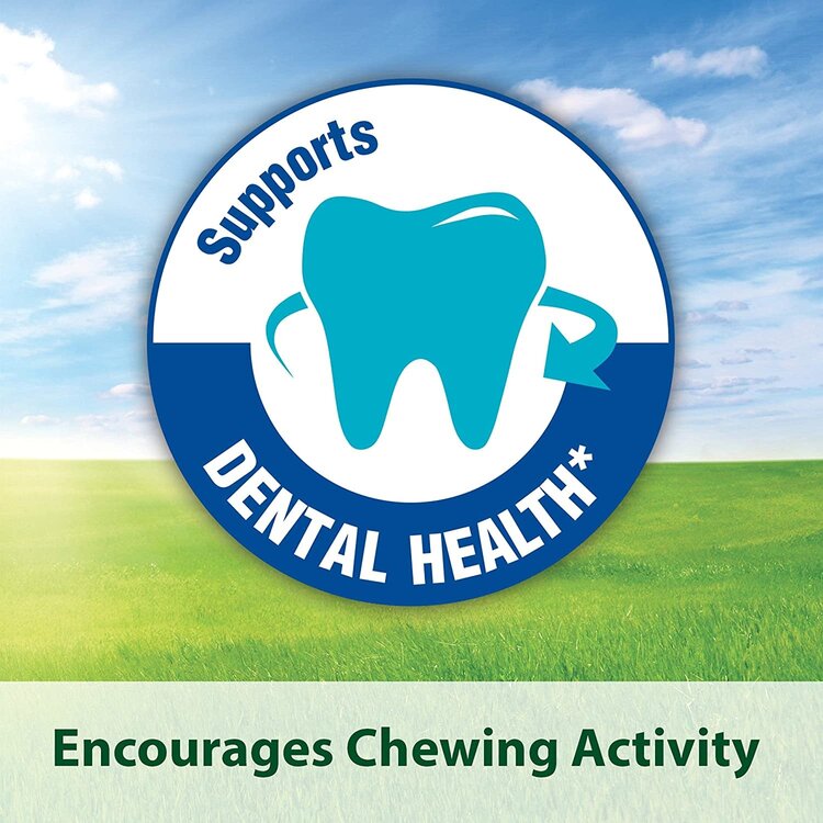 Kaytee Hamster & Gerbil Food  (4.5lb)