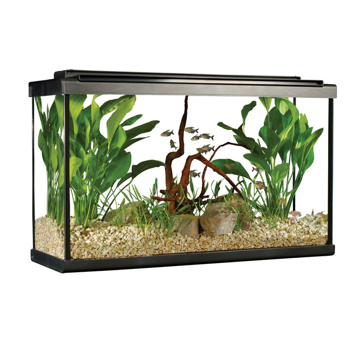 Fluval Fluval 29High LED Aquarium Kit
