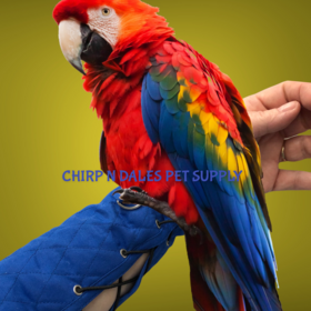 Big Bird Products  Parrot Arm Perch Large