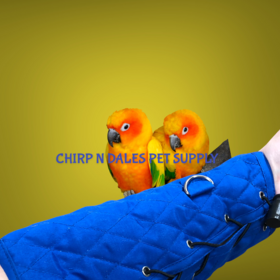 Big Bird Products  Parrot Arm Perch Med