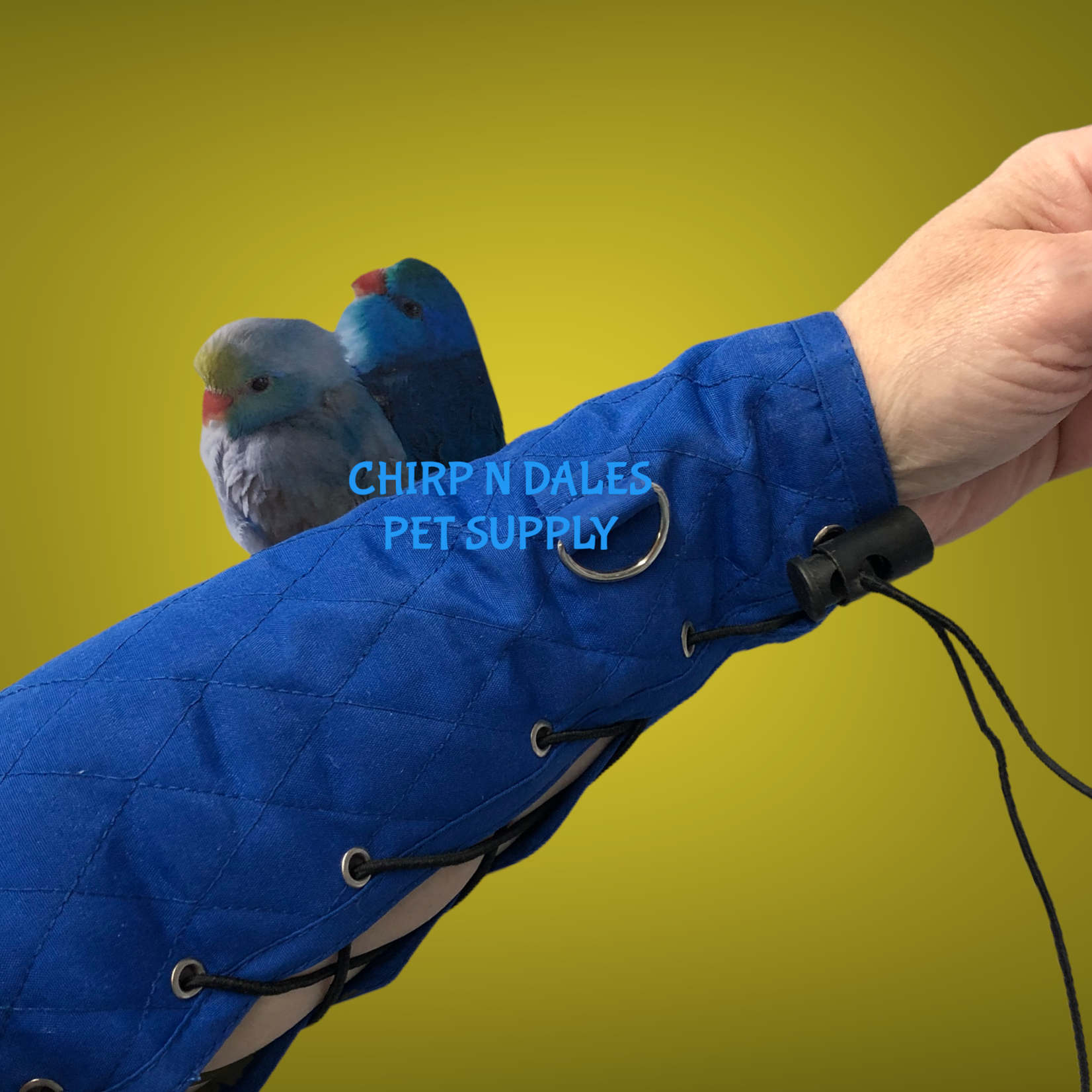 Big Bird Products  Parrot Arm Perch Small