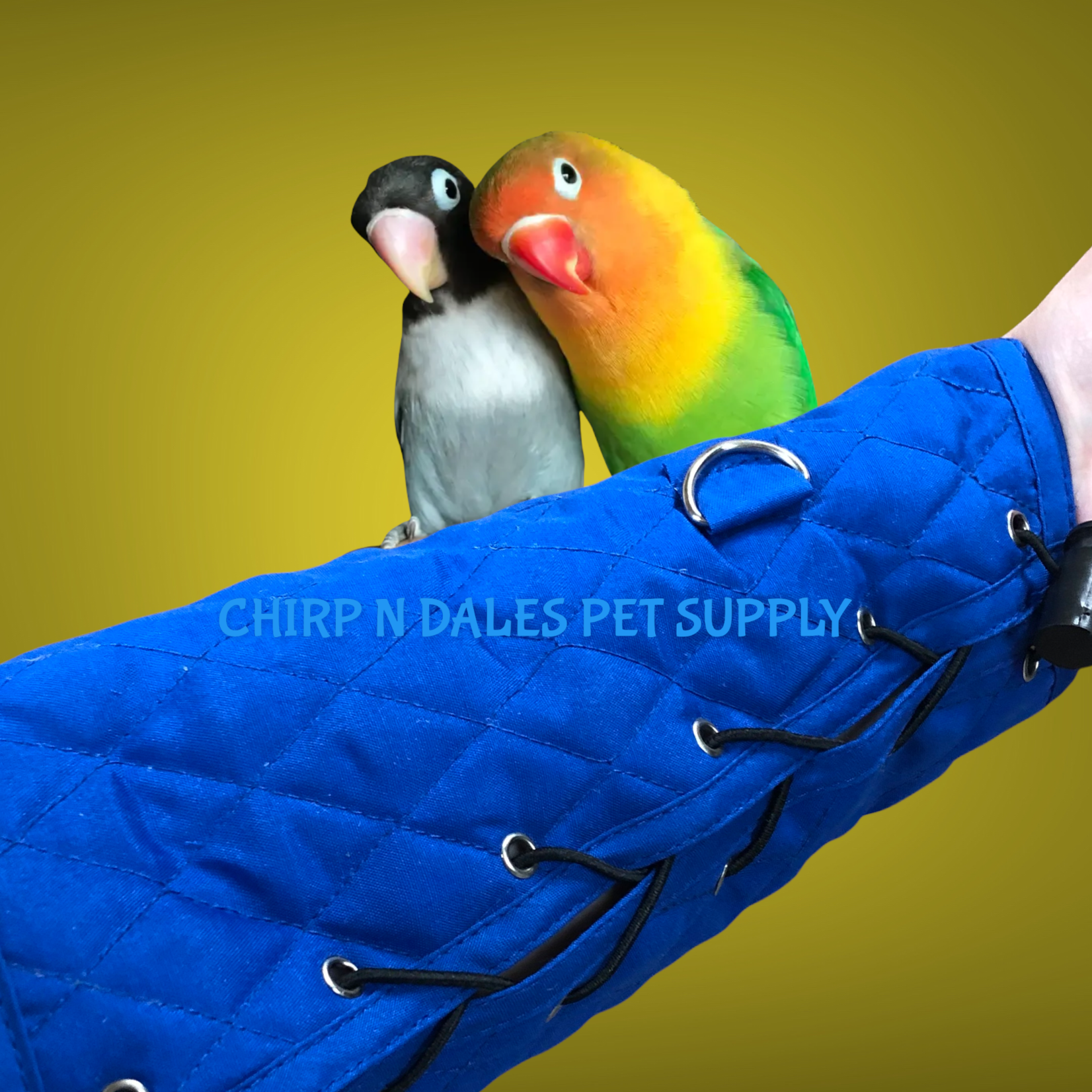 Big Bird Products  Parrot Arm Perch Small