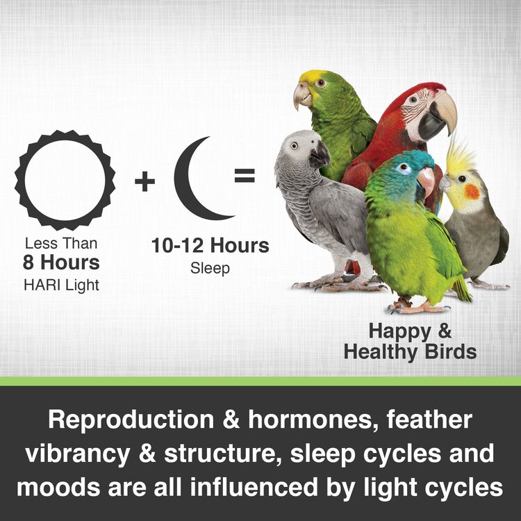 Hagen HARI Avian Light - 26 W