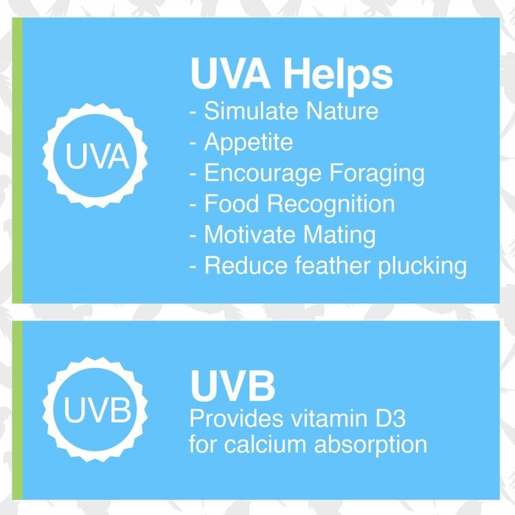 Hagen HARI Avian Light - 26 W