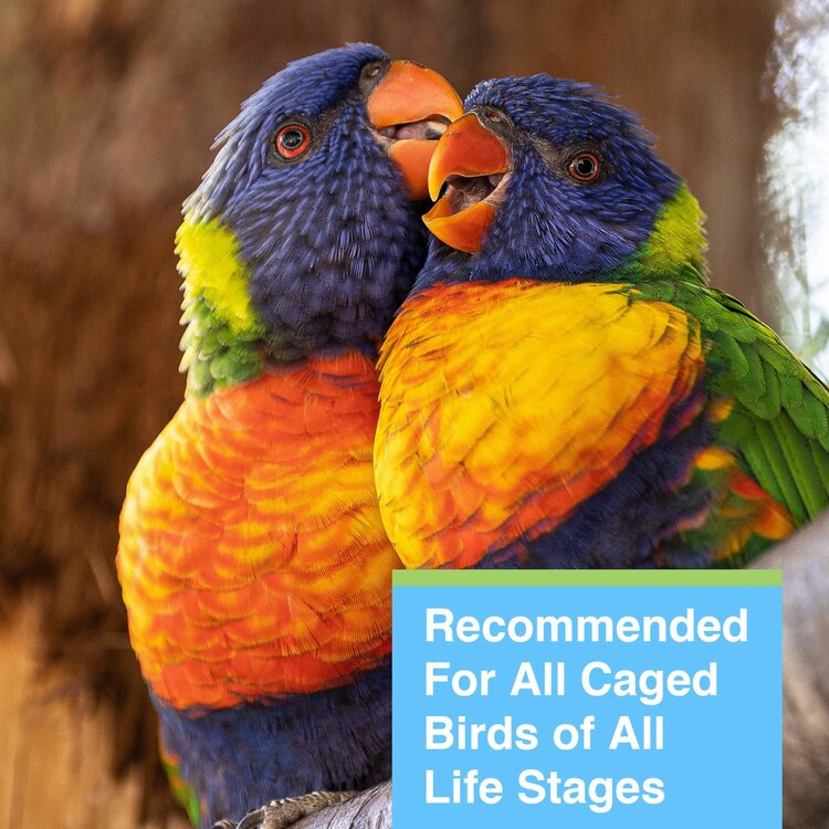 Hagen HARI Avian Light - 26 W