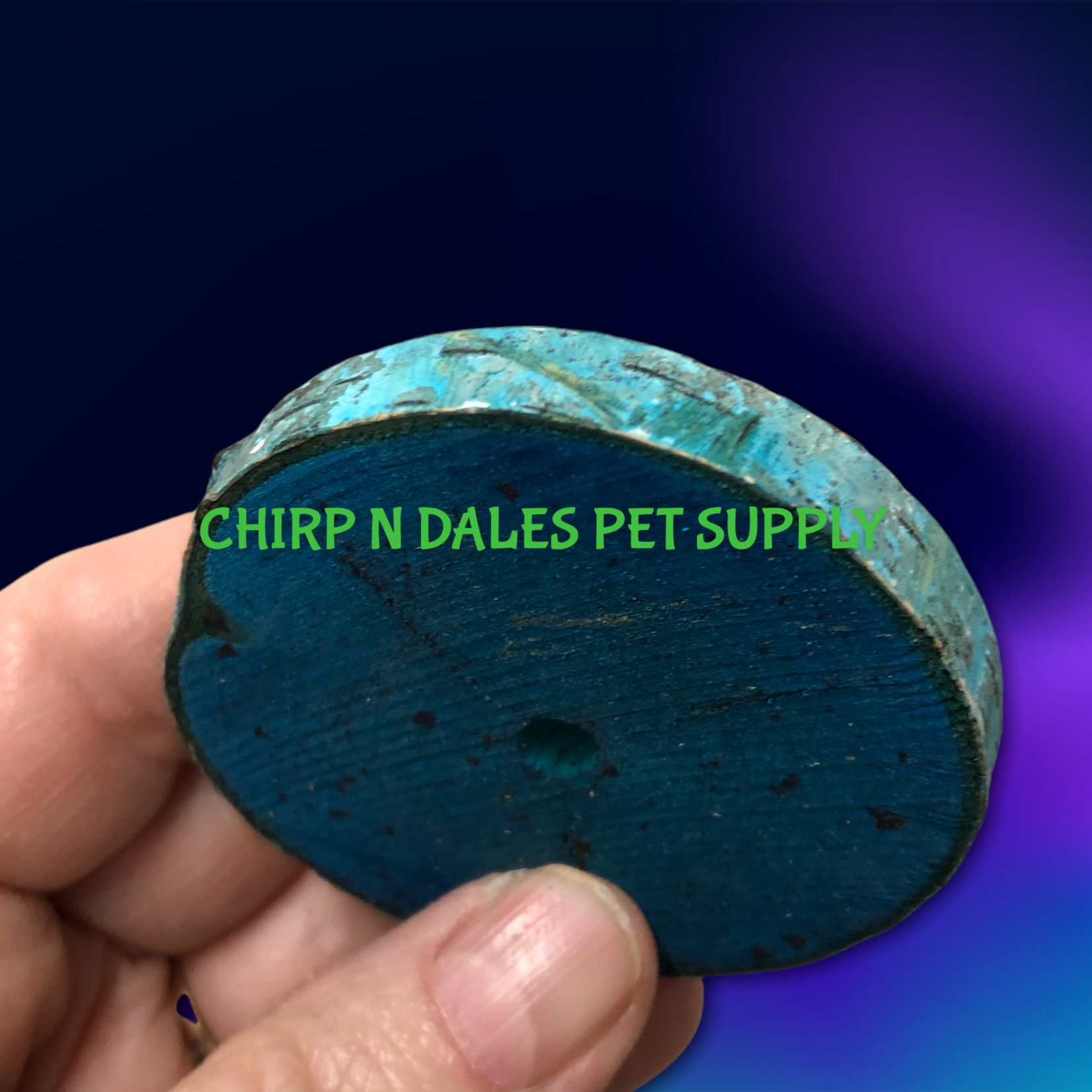 Birch Drilled Discs