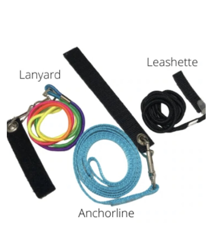 Avian Fashions Avian Fashions Leashes