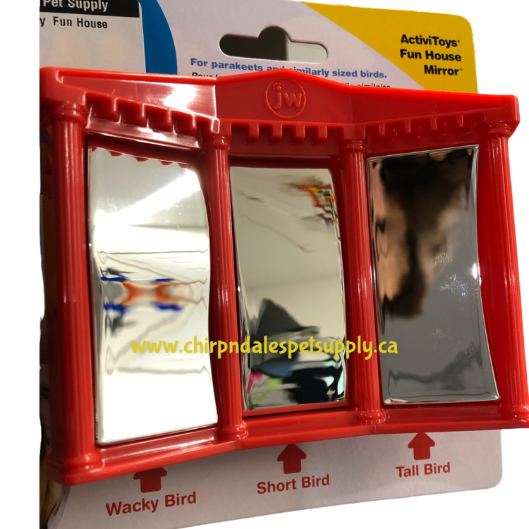 JW JW ActiviToy  Fun House Mirror 31050