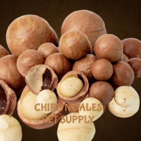 My Rewards My Rewards  Macadamia Nuts in Shell