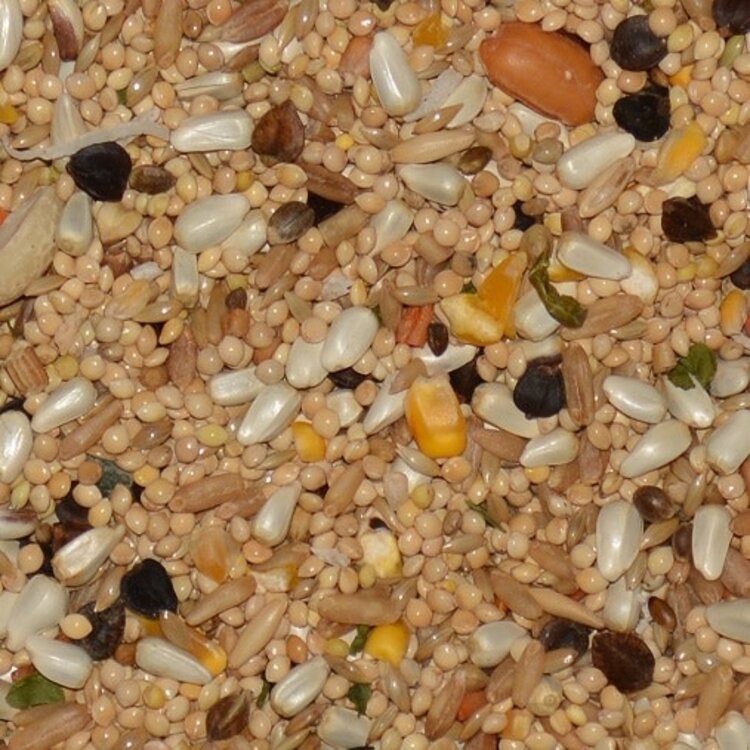 Volkmans Volkmans Avian Science Cockatiel No Sunflower (20lb)