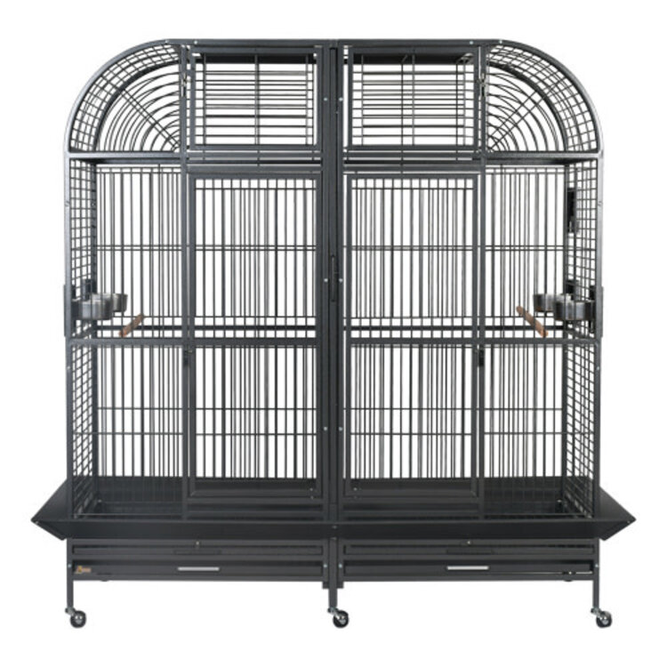 Kings Cages KINGS CAGE SLT 6432 SUPERIOR LINE XL DOUBLE CAGE