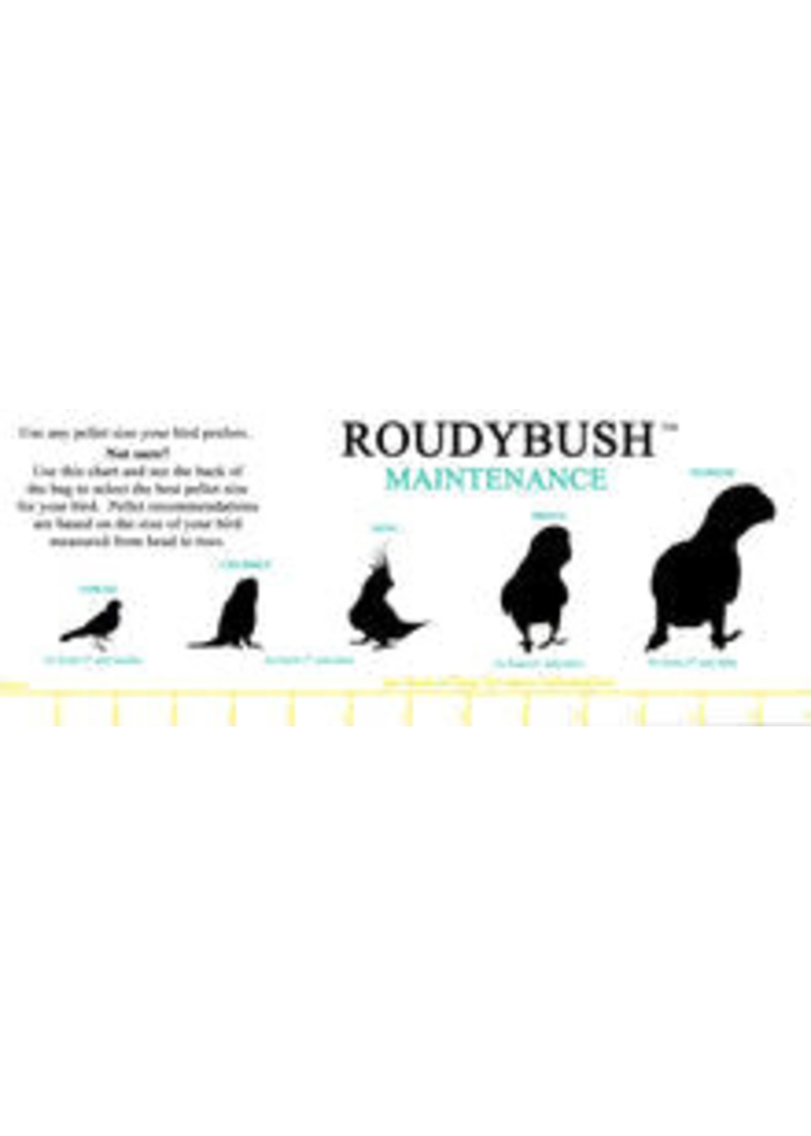 Roudybush Roudybush Maintenance Small (22OZ)