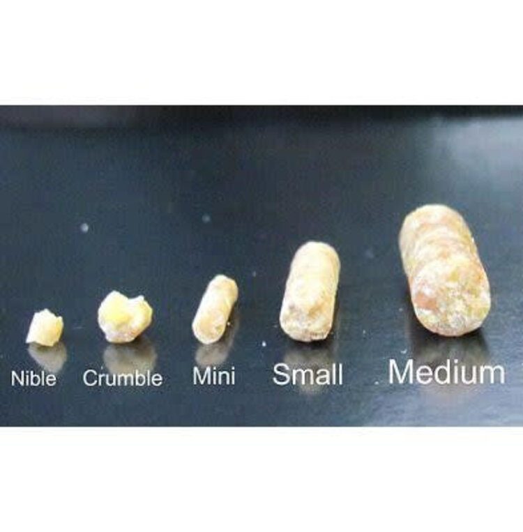 Roudybush Roudybush California Blend Mini (44OZ)