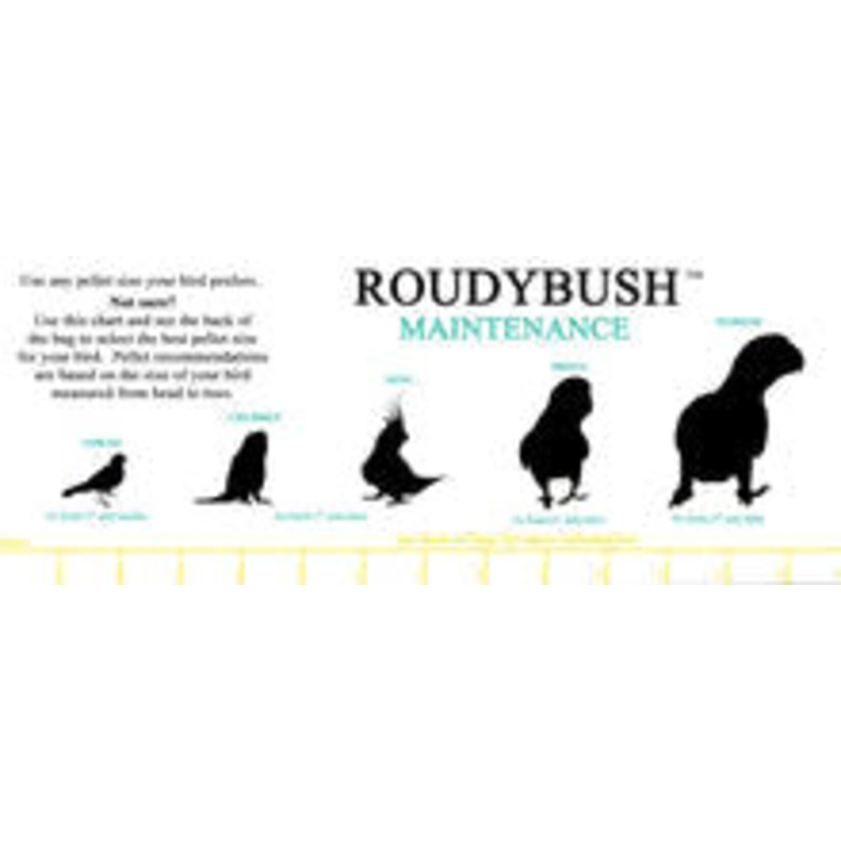 Roudybush Roudybush Senior Diet Small(44OZ)