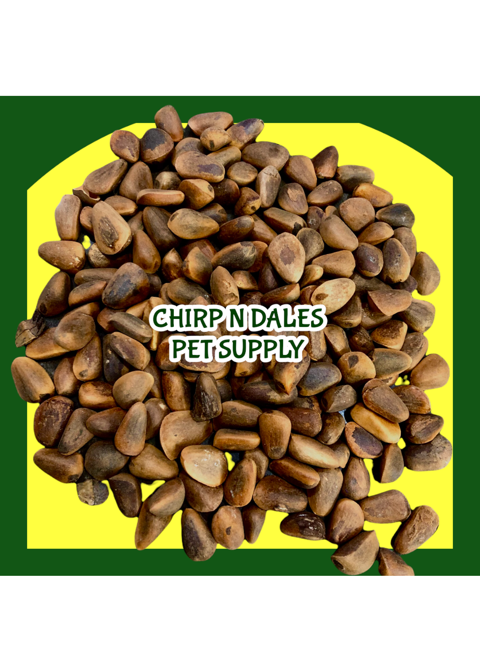 Pine Nuts in Shell  (1LB) 202