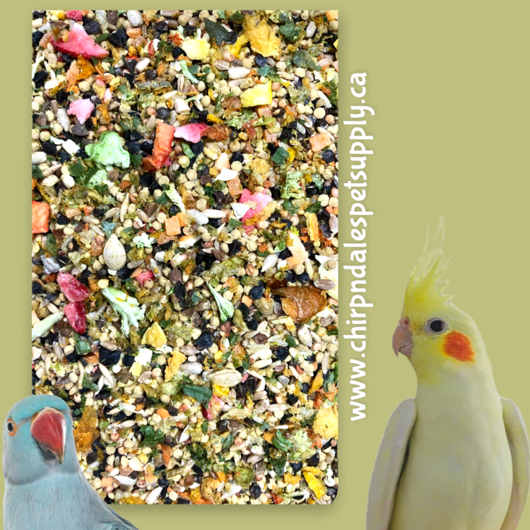 CND Gourmet Petite Hookbill Fruit and Legume (1LB)