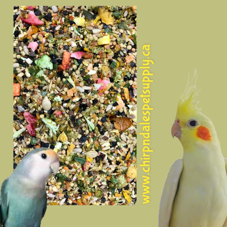 CND Gourmet Petite Hookbill Fruit and Legume (1LB)