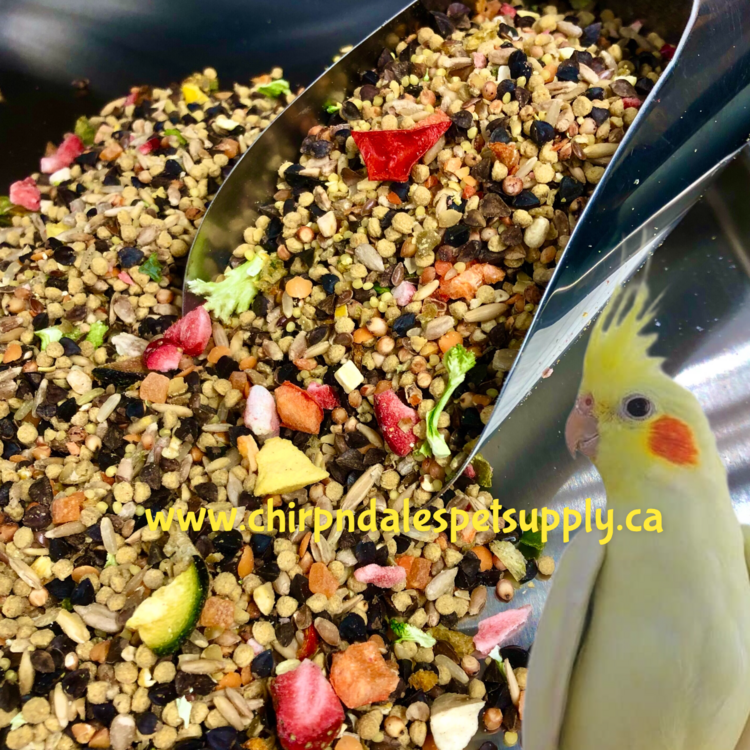 CND Gourmet Petite Hookbill Fruit and Legume (1LB)