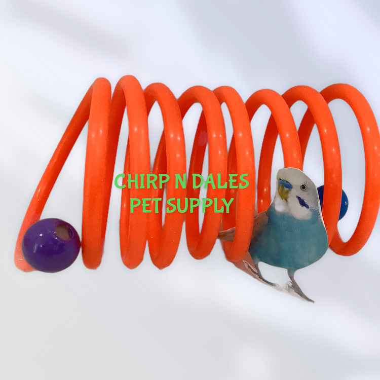 Bonkers Bonkers Curly Whirly Large 3.5” x 6 ft.