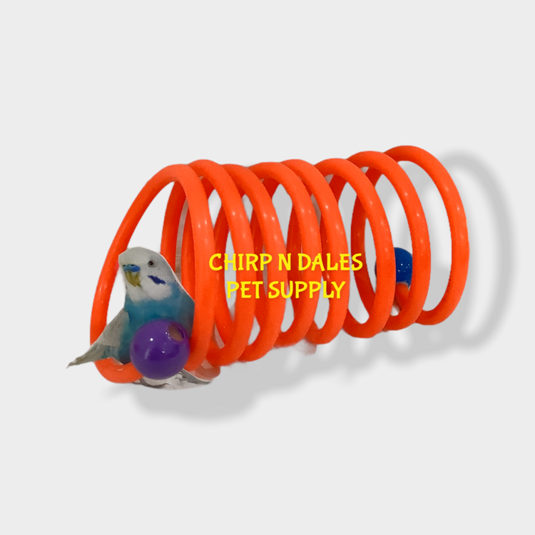 Bonkers Bonkers Curly Whirly Large 3.5” x 6 ft.