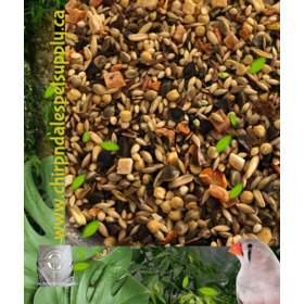 Australian Gourmet Blend – Premium Small Bird Food