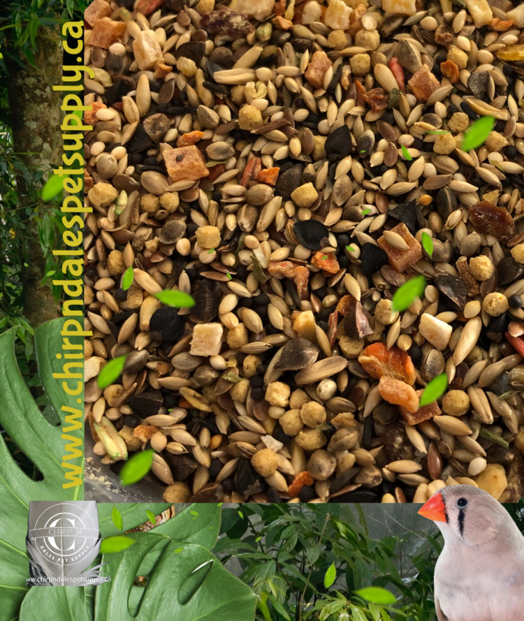 Australian Blend Gourmet    (1 lb) 476