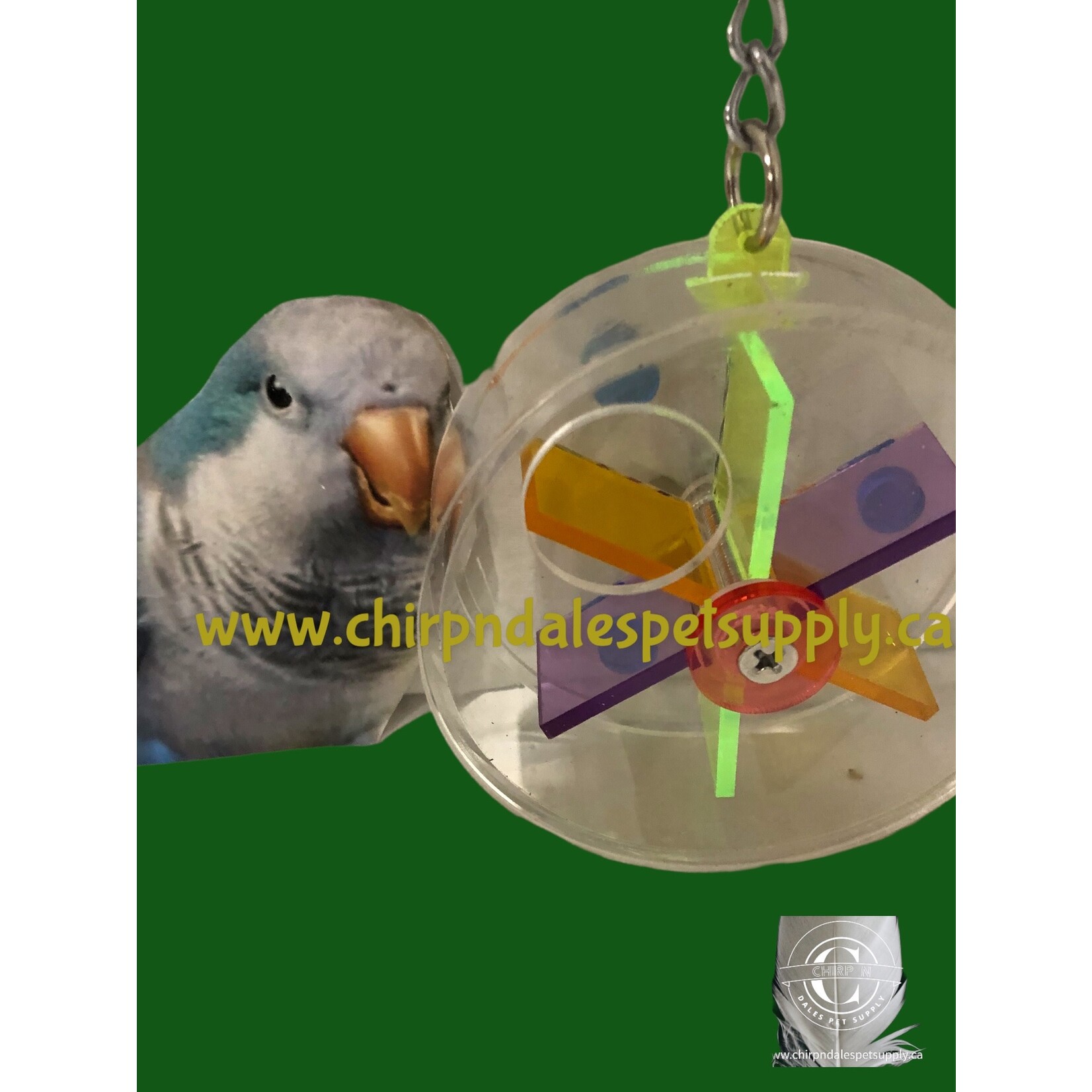 Kings Cages Kings Cages Six Container Foraging Hanging Wheel