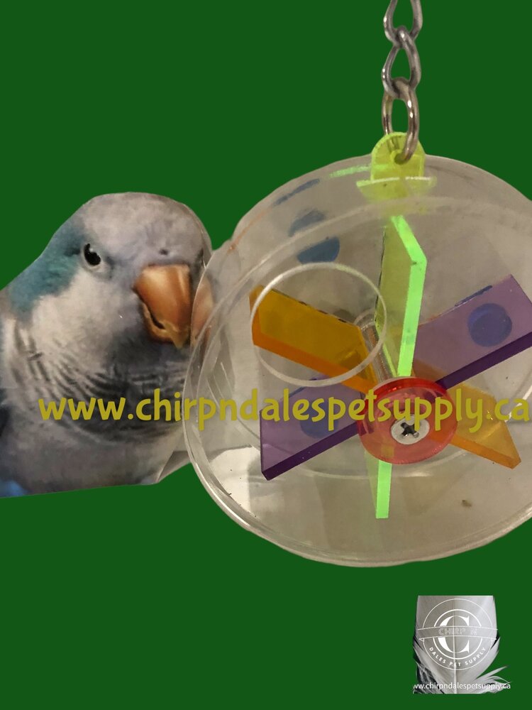 Kings Cages Kings Cages Six Container Foraging Hanging Wheel