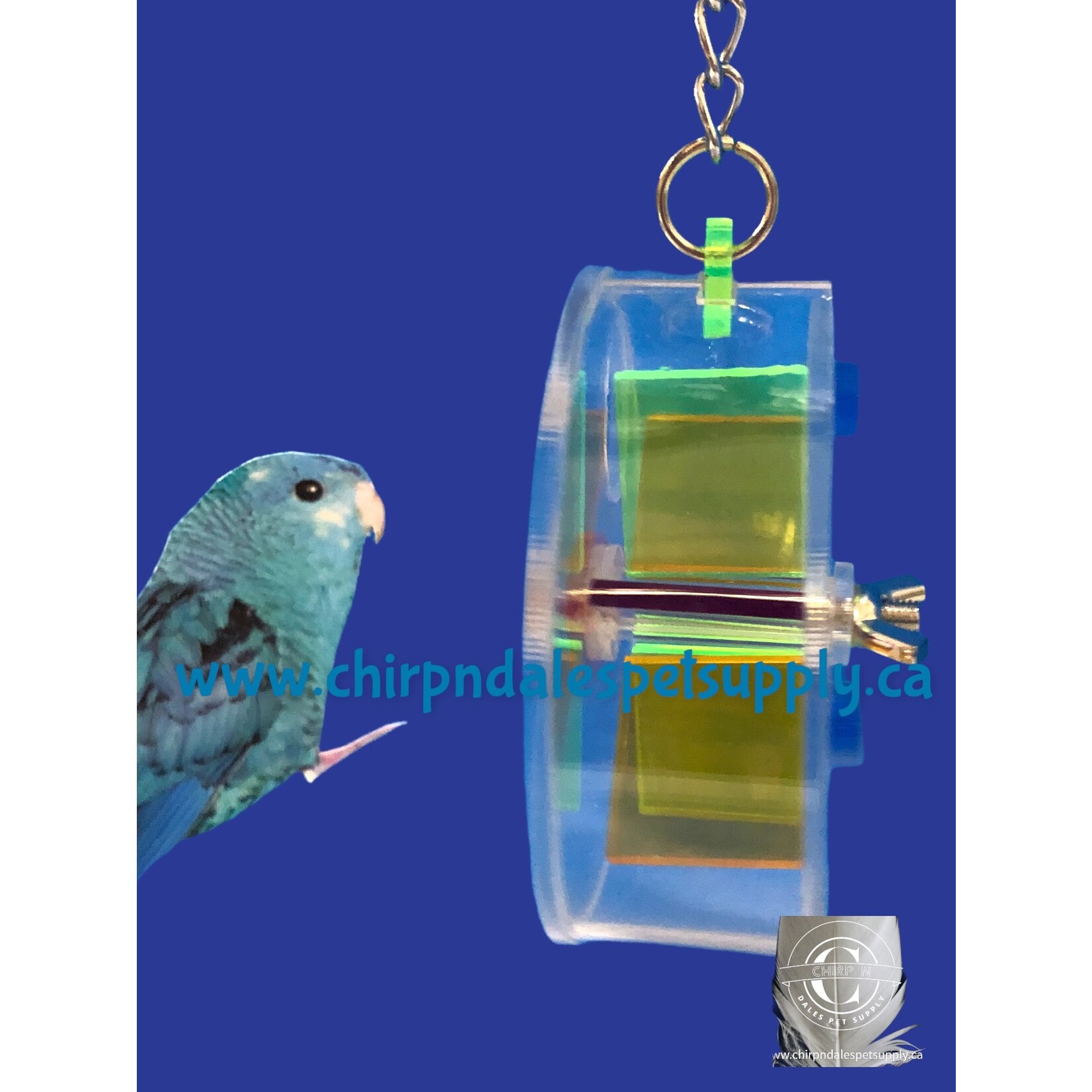 Kings Cages Kings Cages Six Container Foraging Hanging Wheel