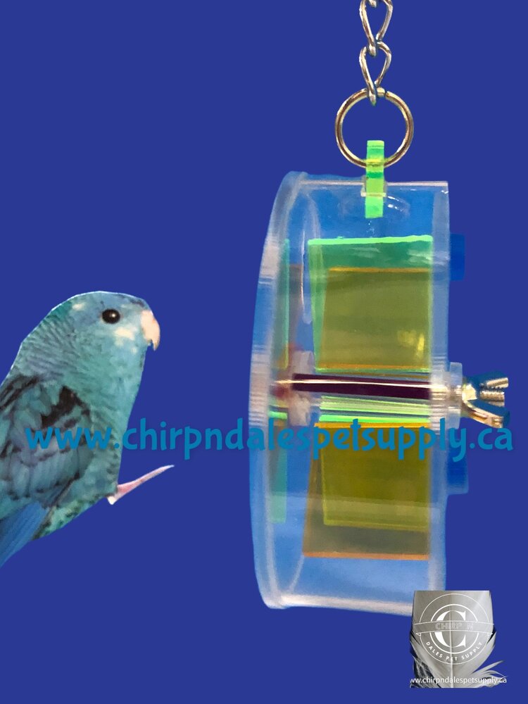 Kings Cages Kings Cages Six Container Foraging Hanging Wheel