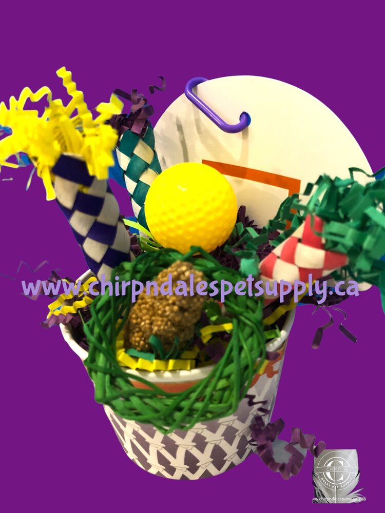 Bonkers Bonkers Birdie Basketball