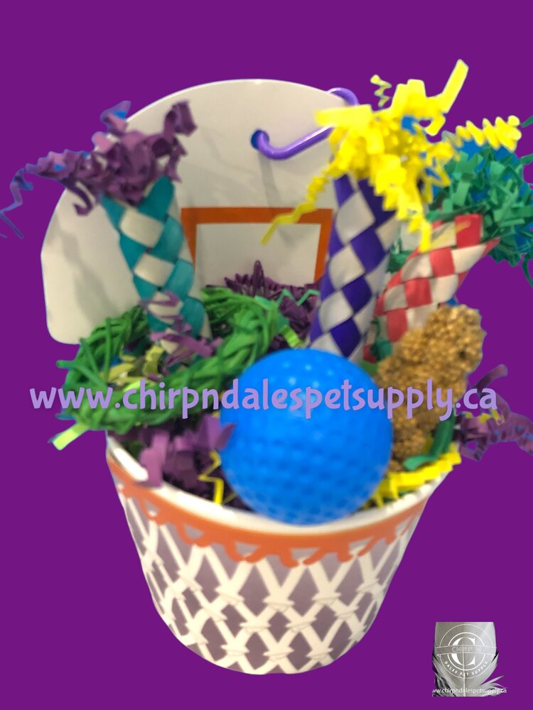 Bonkers Bonkers Birdie Basketball