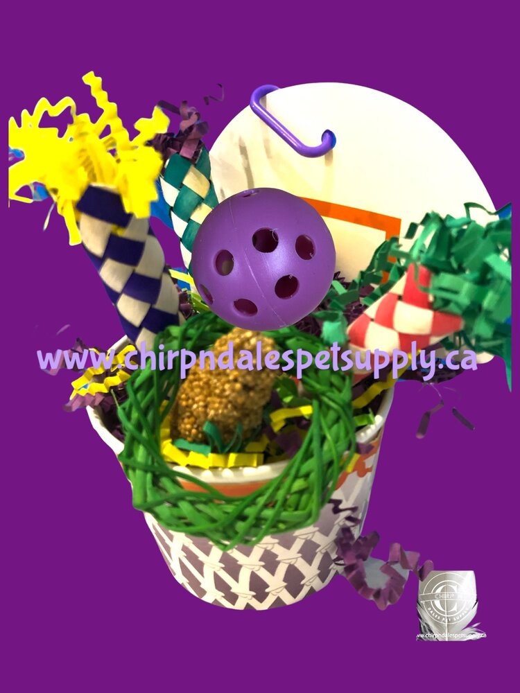 Bonkers Bonkers Birdie Basketball