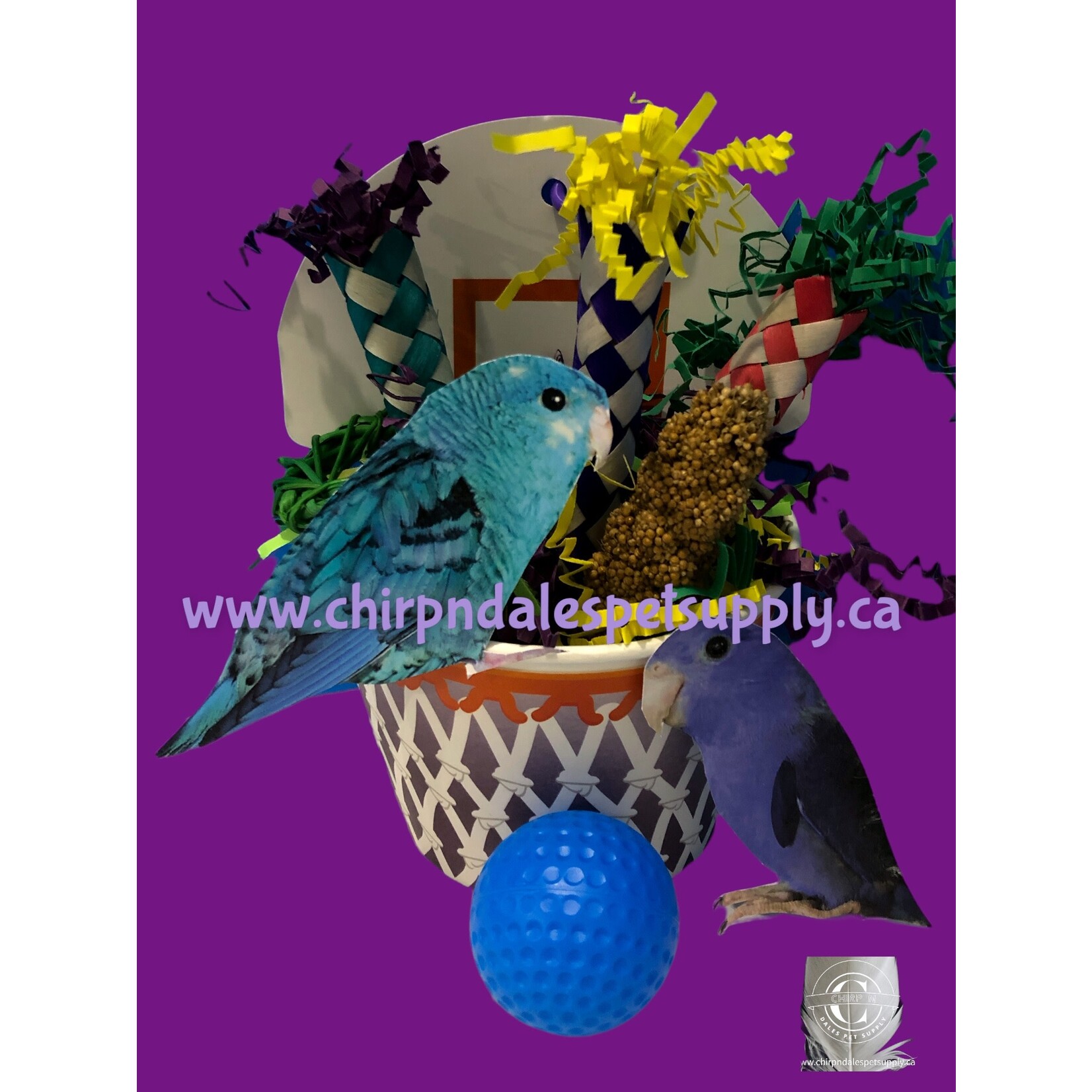CND Bonkers Birdie Basketball
