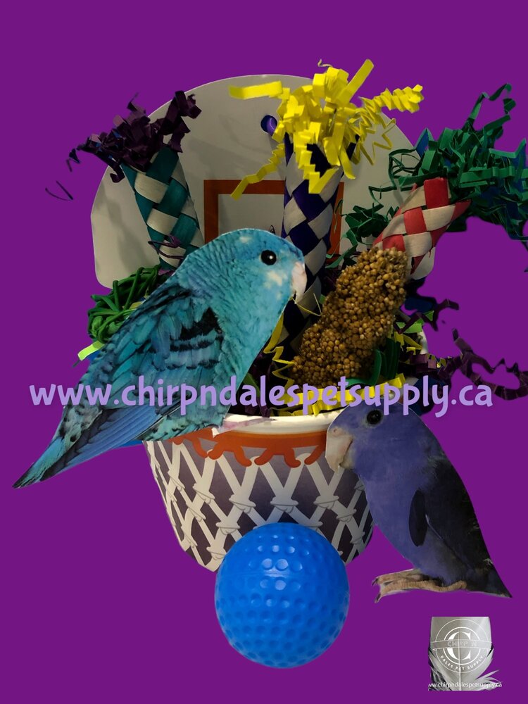 Bonkers Bonkers Birdie Basketball