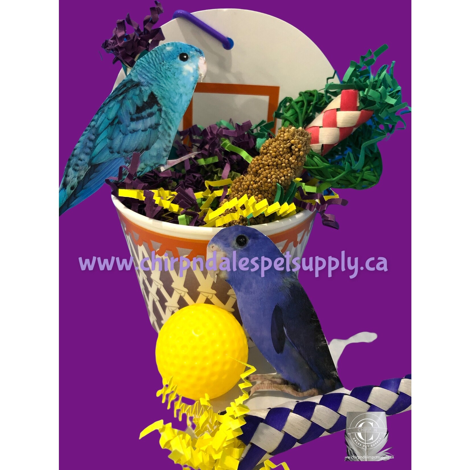 CND Bonkers Birdie Basketball