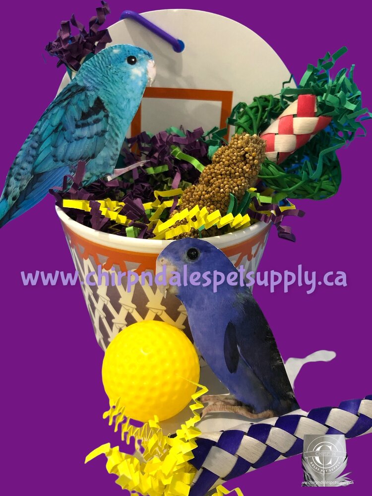 Bonkers Bonkers Birdie Basketball