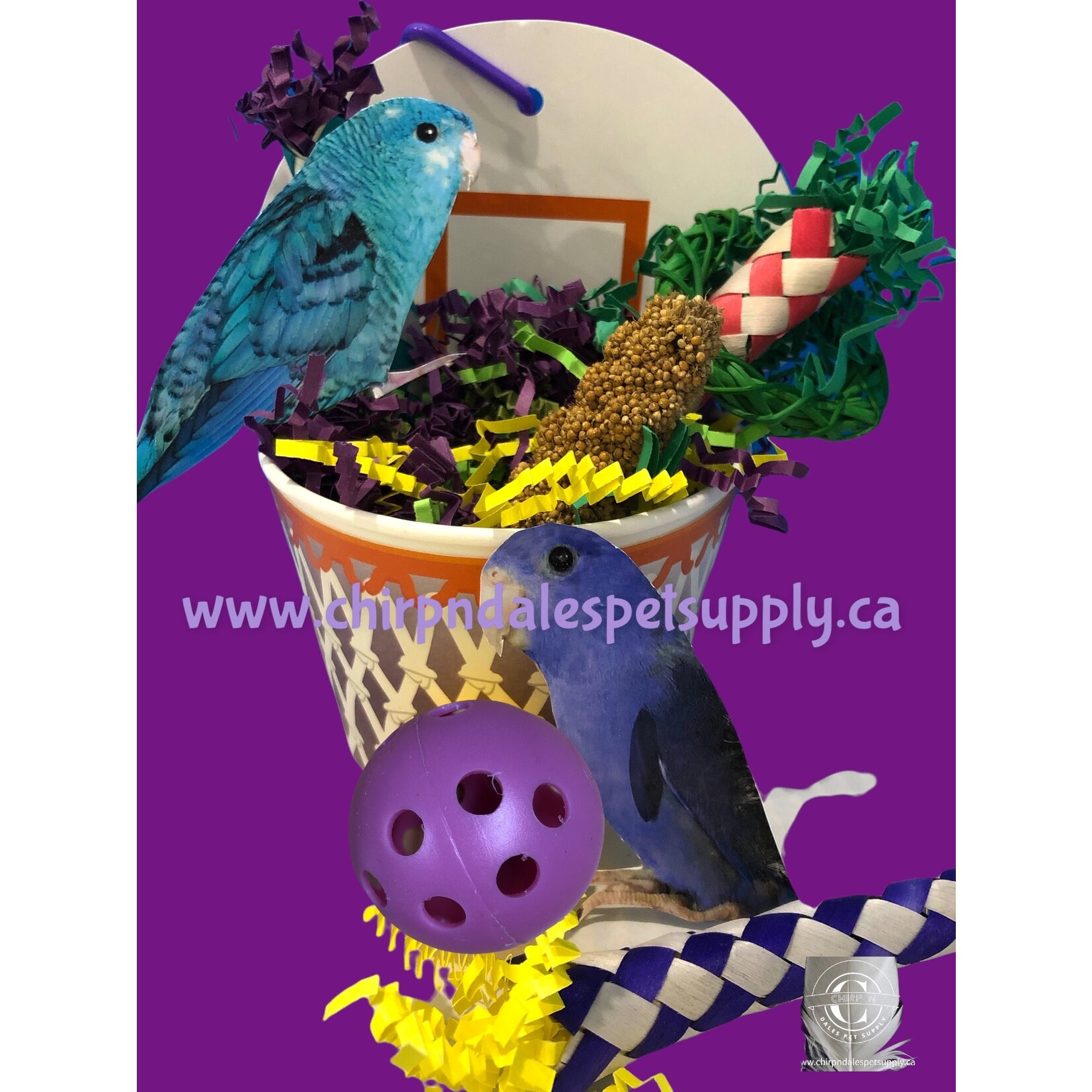 CND Bonkers Birdie Basketball