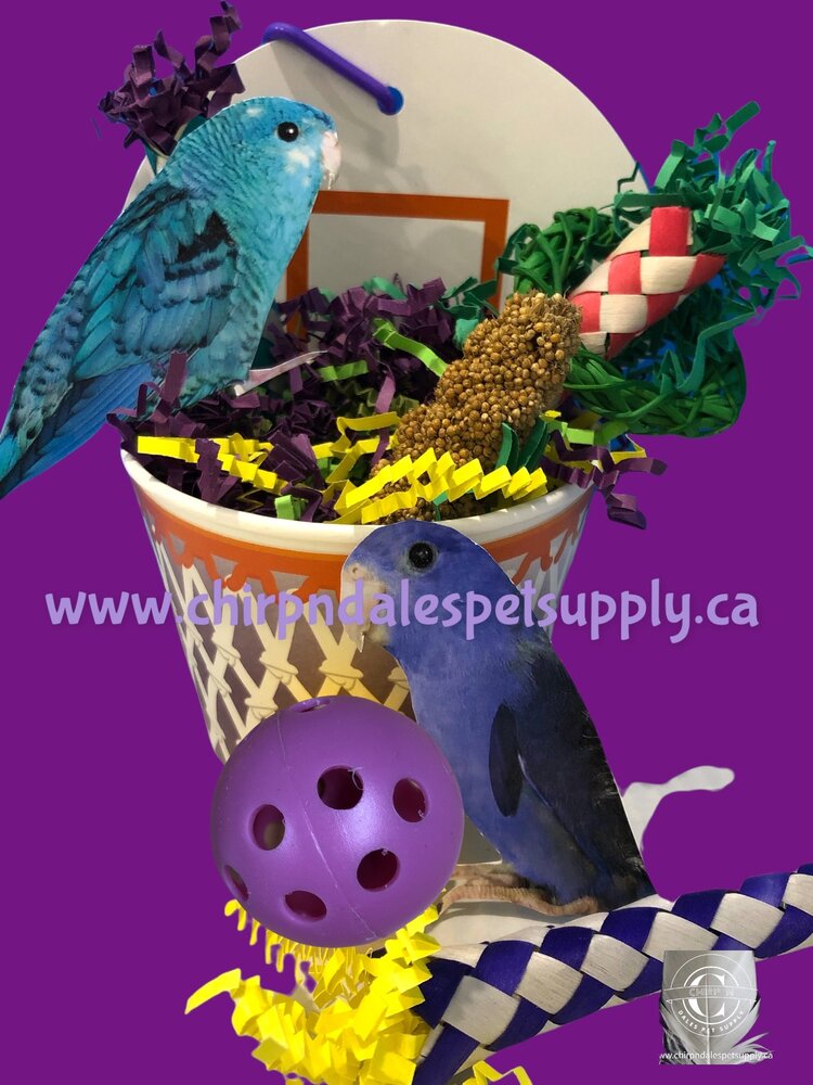 Bonkers Bonkers Birdie Basketball