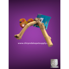 Kings Cages Kings Java Multi Branch  Xsmall