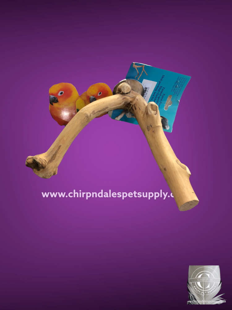 Kings Cages Kings Java Multi Branch  Xsmall