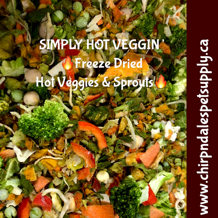 CND Freeze Dried Products Simply Hot Veggin’ Freeze Dried Hot Veggies and Sprouts