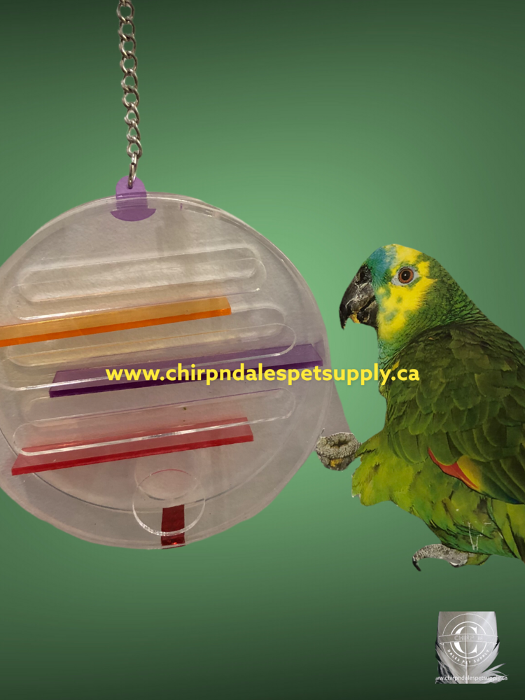 Kings Cages Kings Cages Four Level Foraging Hanging Wheel Medium